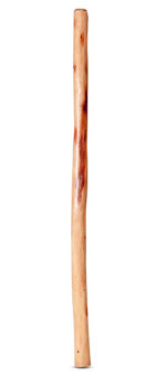 Natural Finish Didgeridoo (TW474)